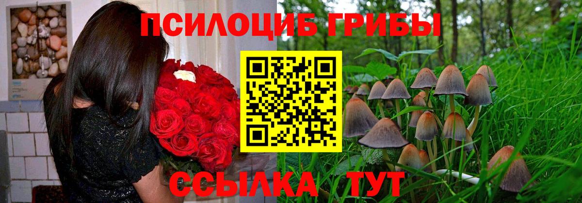 Галлюциногенные грибы ЛСД  Вход с VPN  Оренбург 