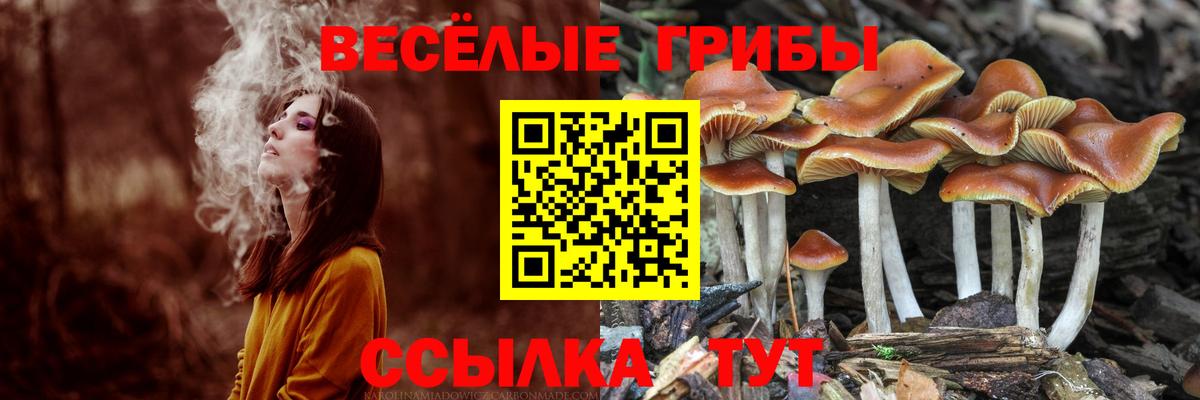 ГАШИШ  Оренбург  Конопля  МДМА  Меф   Вход с VPN 